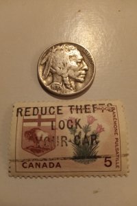 Buffalo Indian Stamp & Coin Combo