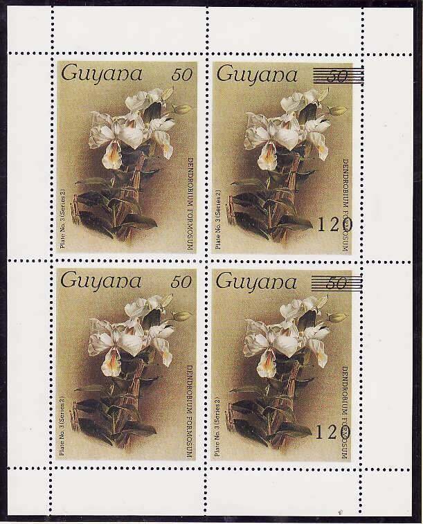 Guyana-Sc#1170,1672- id9-unused NH sheet of 4-two #1672 surcharged, 2 #1170 not