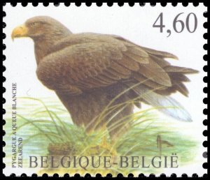 Belgium 2009 Sc 2347 Woodcock CV $13