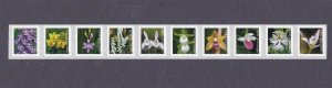 Coil Strip (10) 55c Wild Orchids US 5435-5444, 5444a MNH Scott Order Mailed Flat