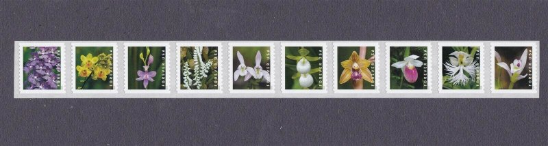 Coil Strip (10) 55c Wild Orchids US 5435-5444, 5444a MNH Scott Order Mailed Flat