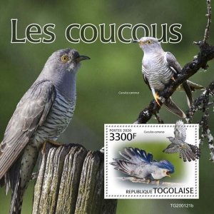 Togo Birds on Stamps 2020 MNH Cuckoos Cuckoo Bird 1v S/S