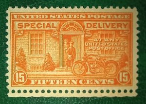 US Stamp 1925 Special Delivery Scott # E13 MNH Well Centered Perf Tab Rare