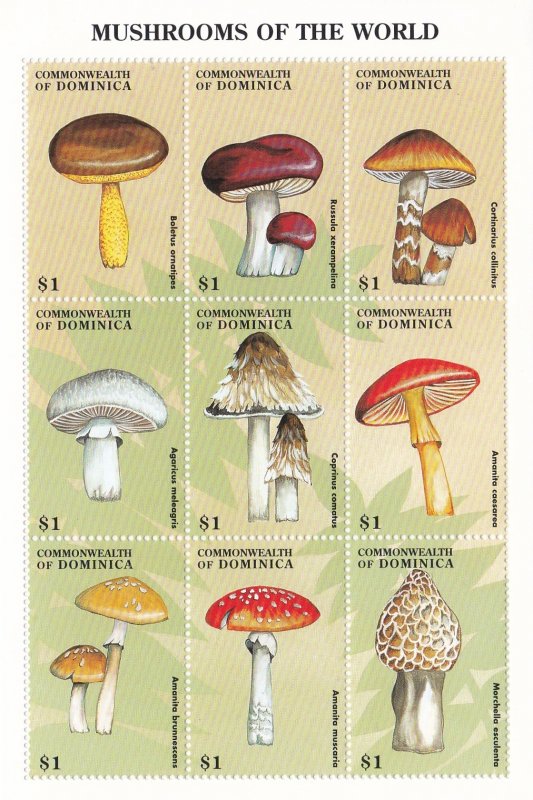 Dominica # 2050-2051, Mushrooms of the World, NH, 1/2 Cat.