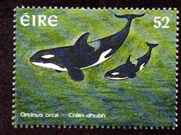 IRELAND 1052 MNH SCV $.90 BIN $.55 MARINE LIFE