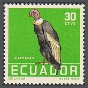 Ecuador 636,MNH.Michel 958. Birds 1958.Condor.