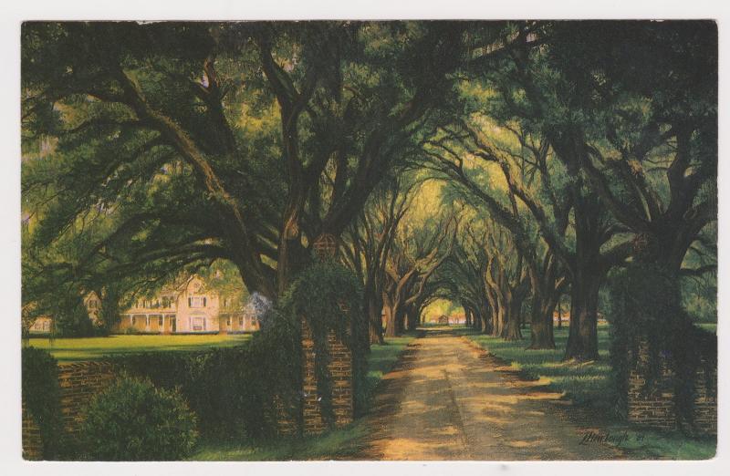 Unused Postcard: The Okeetee Ckub, Ridgeland, SC