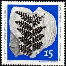 Fossil From Natural History Museum Berlin, DDR SC#1445 MNH