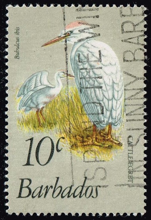 Barbados #499 Cattle Egrets; Used (0.40)