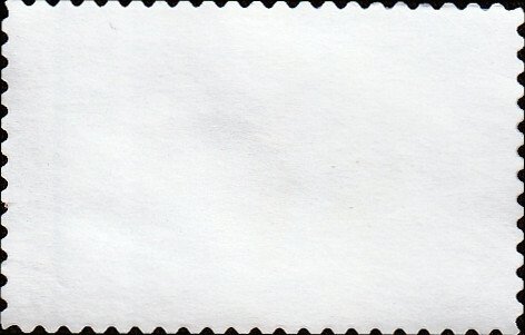 # 3663 USED PALLID BAT