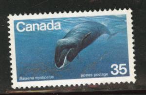 Canada Scott 814 MH* whale stamp