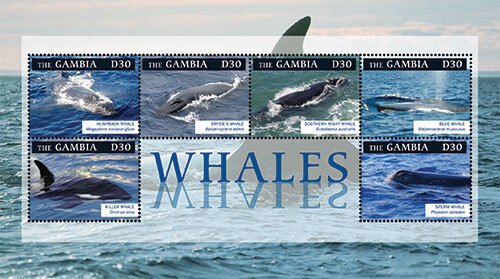 Gambia 2012 - Whales Stamp Sheet of 6 MNH