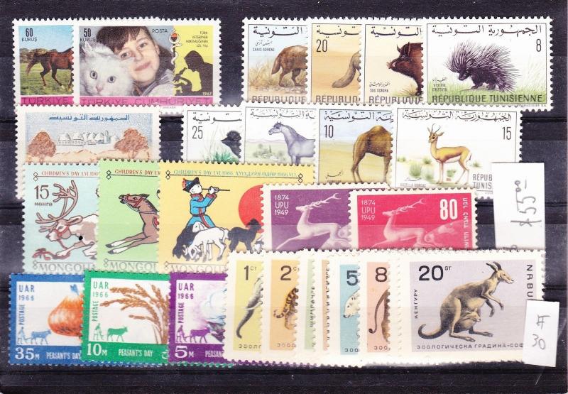 Wildlife MNH stamp complete Djibouti Tunisia Bulgaria Israel WWF Camel horse cat