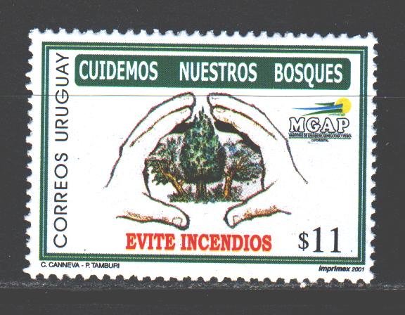 Uruguay. 2001. 2580. Ecology, forest restoration company. MNH.