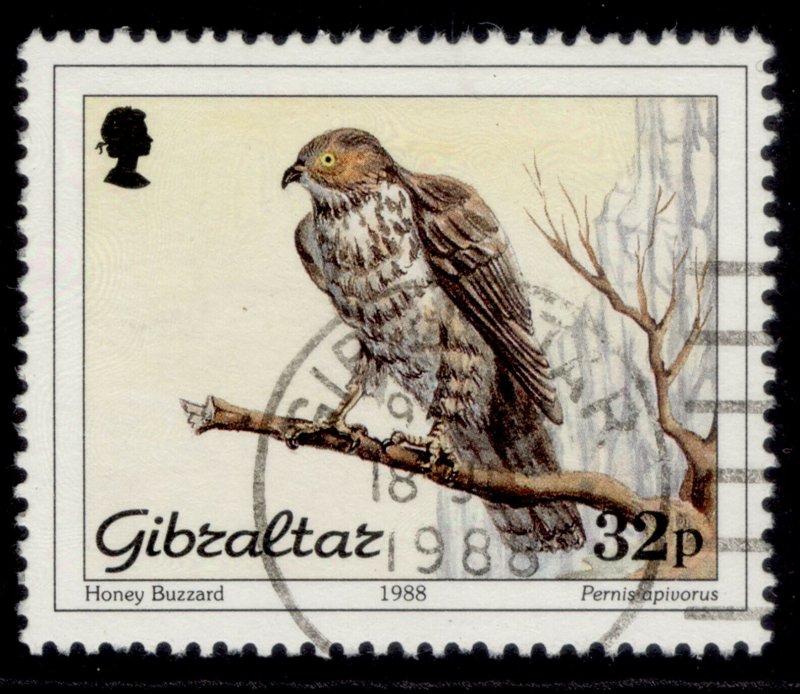 GIBRALTAR QEII SG598, 1988 32p honey buzzard, FINE USED.