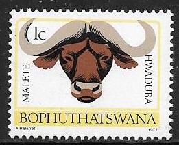 Bophuthatswana 1977 1c African Buffalo, mint never hinged, Scott #5