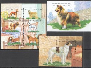 B0582 Lesotho Fauna Domestic Animals Pets Dogs 1Kb+2Bl Mnh