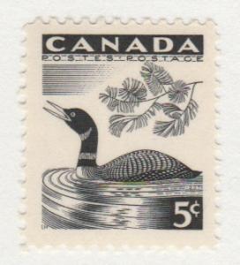 loon - Scott # 369 - MNH