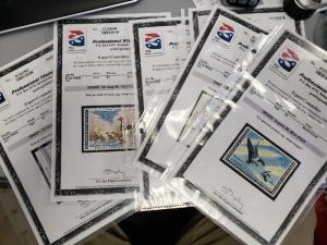 US Graded Duck Stamps