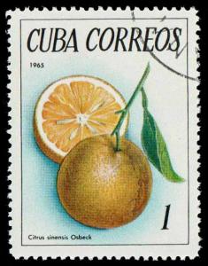 SC 1017 - Oranges - CTO - 1965