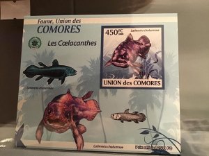 Comoro Islands 2009 Fish mint never hinged stamp sheet R24071