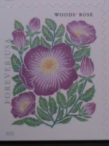 ​UNITED STATES-2022 MOUNTAIN FLOWERS-FIRST CLASS FOREVER MNH BOOKLET-20 STAMPS