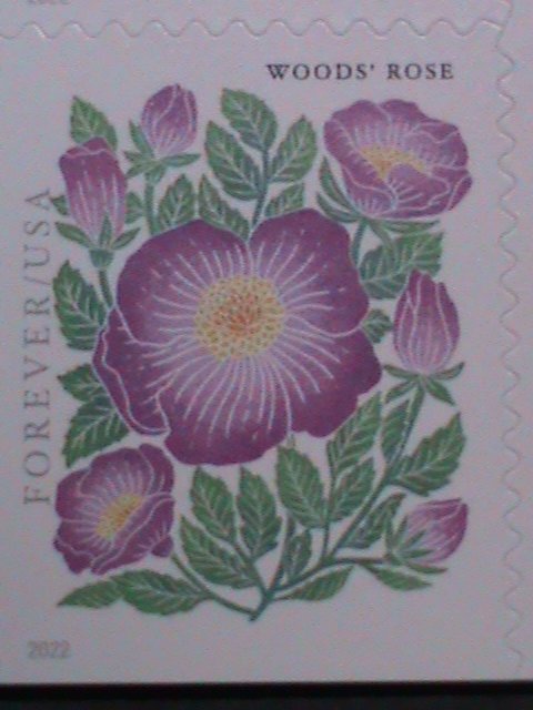 ​UNITED STATES-2022 MOUNTAIN FLOWERS-FIRST CLASS FOREVER MNH BOOKLET-20 STAMPS