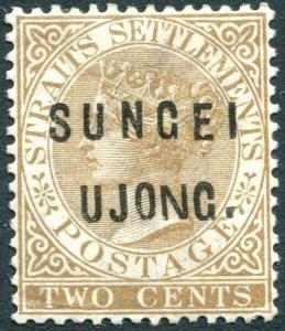 SUNGEI UJONG-1883-84 2c Brown  Sg 28  MOUNTED MINT V31422