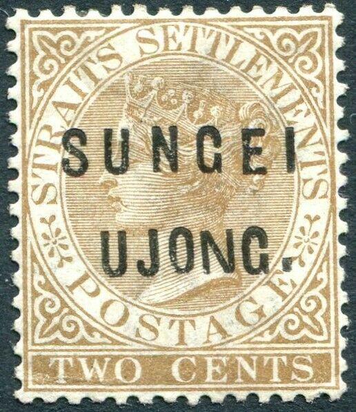 SUNGEI UJONG-1883-84 2c Brown  Sg 28  MOUNTED MINT V31422