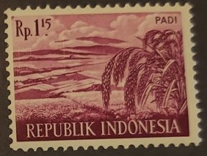 Indonesia 501