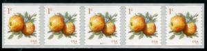 5037 US 1c Apples SA coil, MNH PNC/5 #P111111 w/o back #