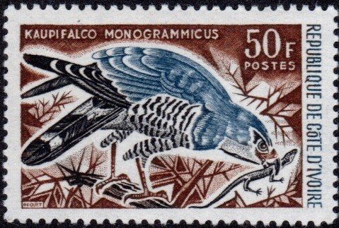 Ivory Coast 237 - Mint-H - 50fr Lizard Buzzard (1965) (cv $3.50) (2)