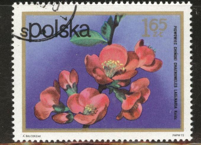 Poland Scott 1938 Used CTO 1972 Flowering shrub stamp