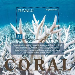 Tuvalu 2021 - Marine Life coral Reef - Souvenir Stamp Sheet - MNH