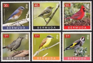 BERMUDA 2023 BIRDS BACKYARD OISEAUX VOGEL UCCELLO AVES