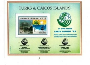 Turks and Caicos - 1993 - Earth Summit - Souvenir Stamp Sheet - Scott#977A - MNH