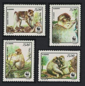 Algeria WWF Barbary Macaque 4v 1988 MNH SC#872-875 SG#989-992 MI#972-975