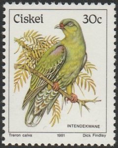 South Africa-Ciskei #24 1981 30c African Green Pigeon MNH.