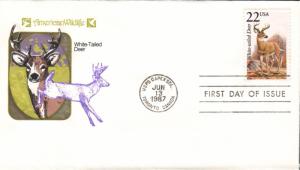 #2317 White-tailed Deer Farnam FDC