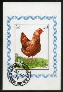 Sharjah - UAE Hen Birds Pet Animals Fauna M/s Cancelled # 2541