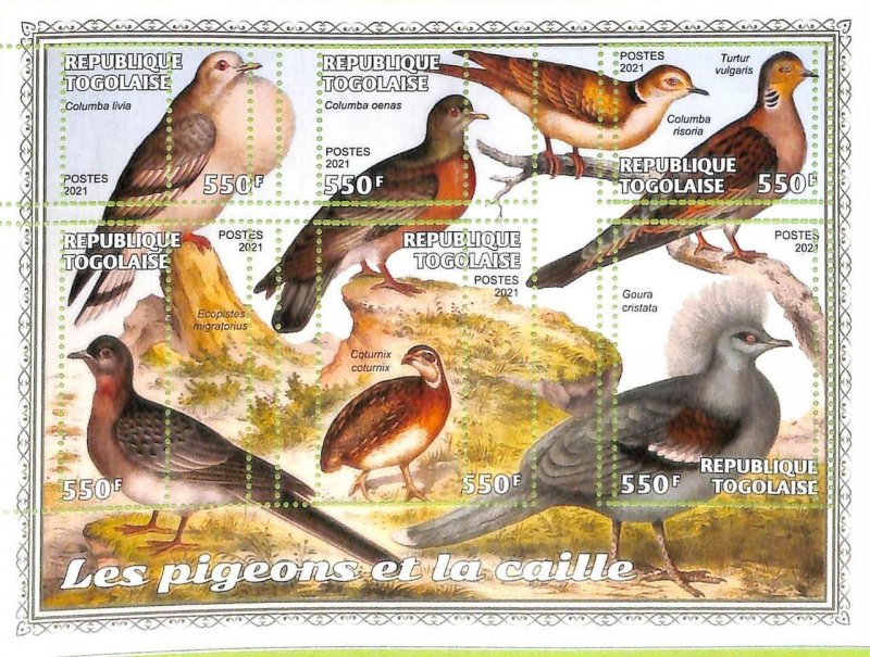 A8893  - TOGO - ERROR MISPERF Stamp Sheet - 2021  BIRDS