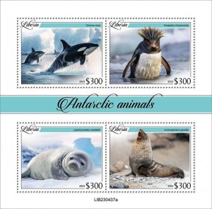 2024 03- LIBERIA - ANTARCTIC ANIMALS          4V complet set    MNH ** T