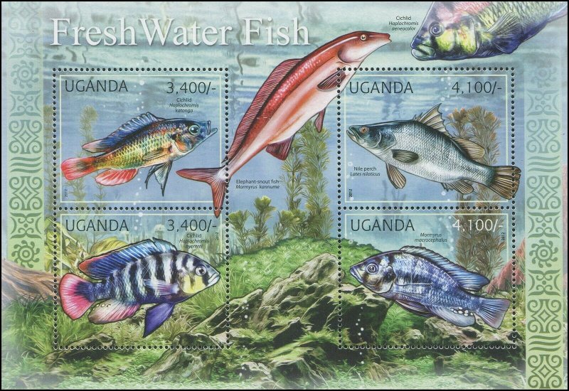 Uganda 2012 Sc 1935 Fish Cichlid Perch CV $12