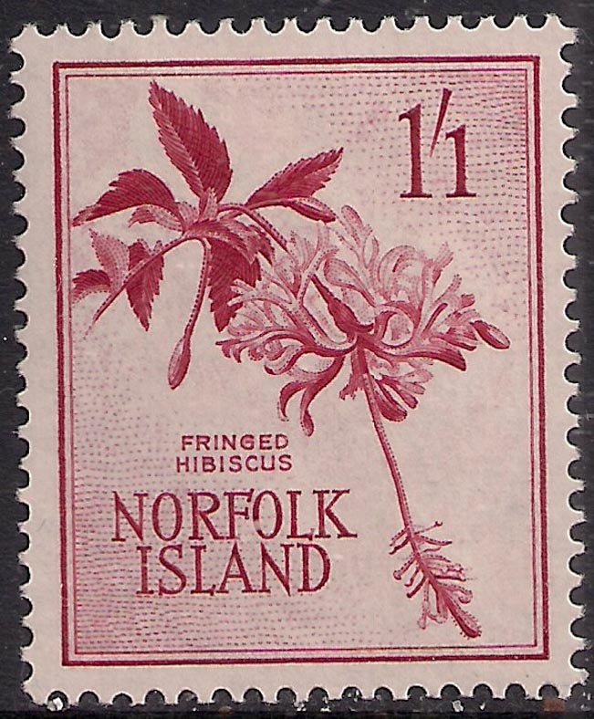 Norfolk Island 1960 - 62 QE2 1/-1d Hibiscus flower MM SG 31 ( G1036 )