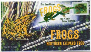 19-182, 2019, Frogs, Digital Color Postmark, FDC, Northern Leopard Frog