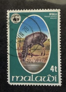 Malawi 1978  Scott 319  used - 4t,  Nyala  & wildlife Fund emblem