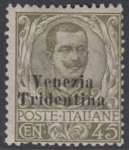 ITALY - Trentino - Sassone n.25 MH* cv 310$