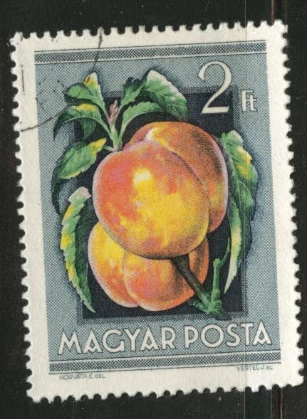 HUNGARY Scott 1095 used peach tree stamp