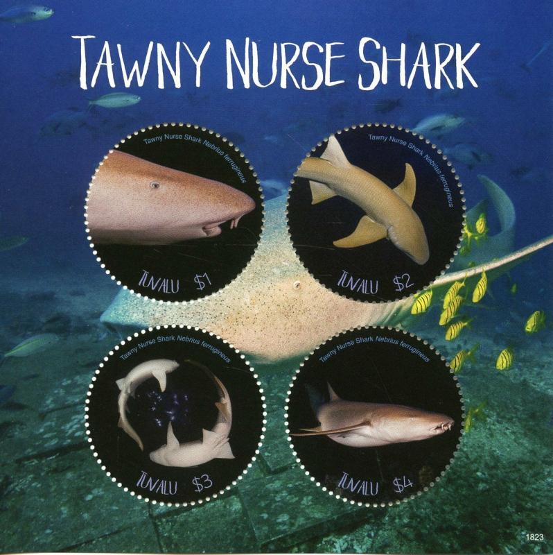 Tuvalu 2018 MNH Tawny Nurse Shark 4v M/S Sharks Marine Animals Stamps