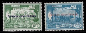 Burma Scott 173-174 MNH** FAO freedom from hunger 1963 set